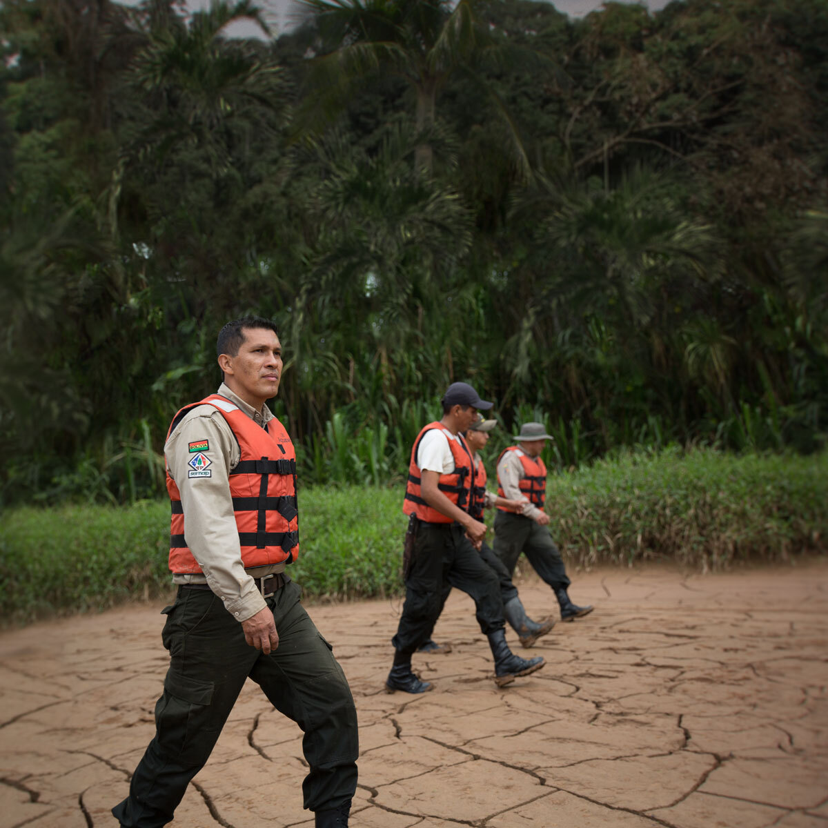 2026  Febuary Ecofilm: Jaguar People - logo